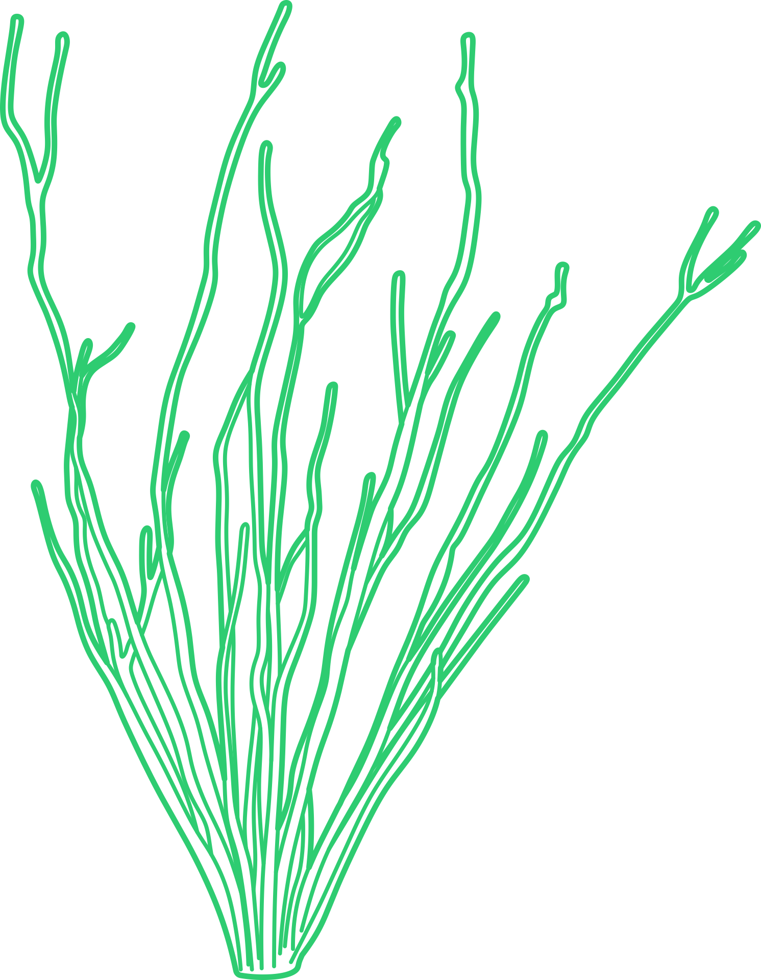 Plants Ocotillo Outline Icon Svg Set Free Vectors